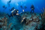 Kurz potápění - Junior Open Water Diver